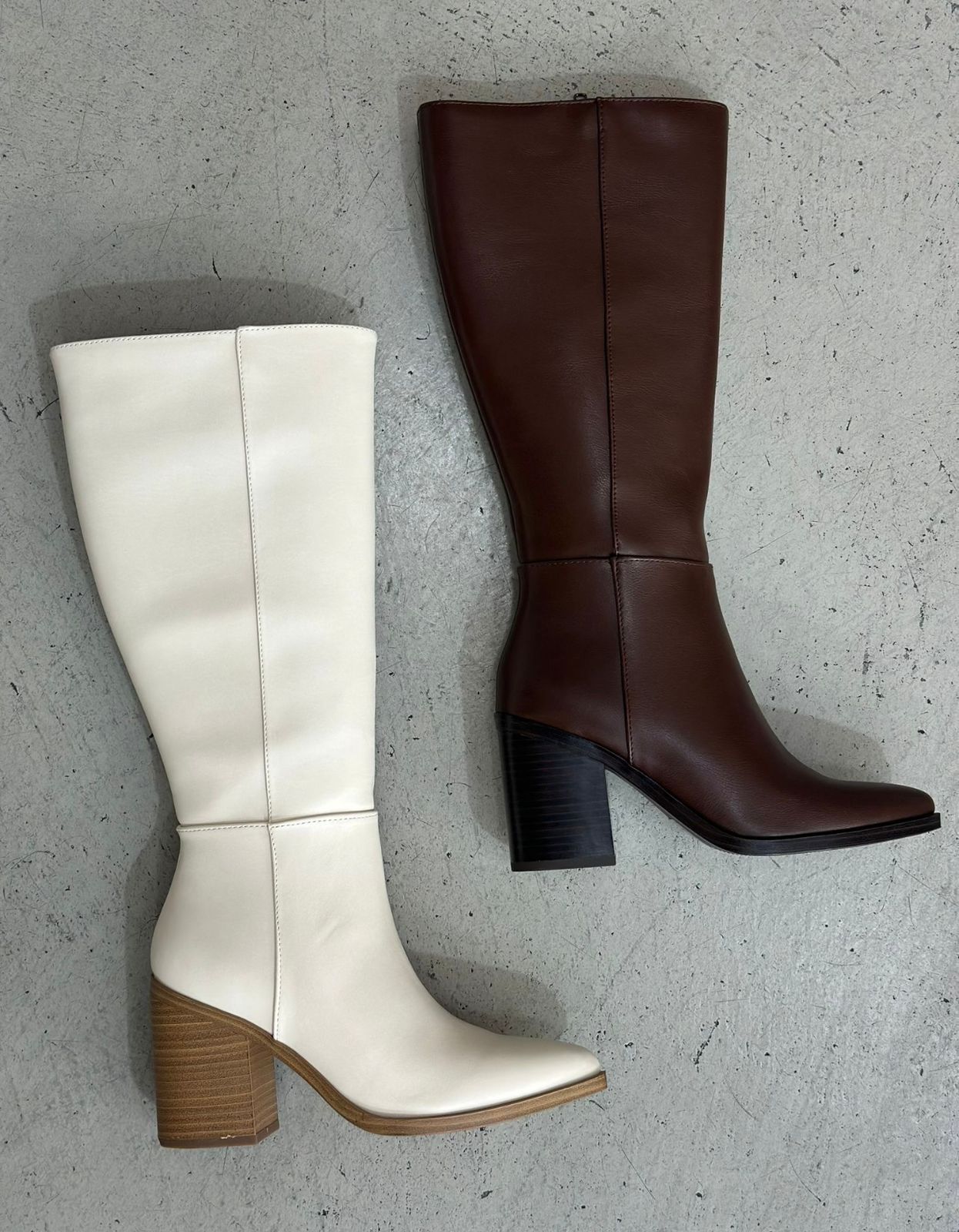 Bota