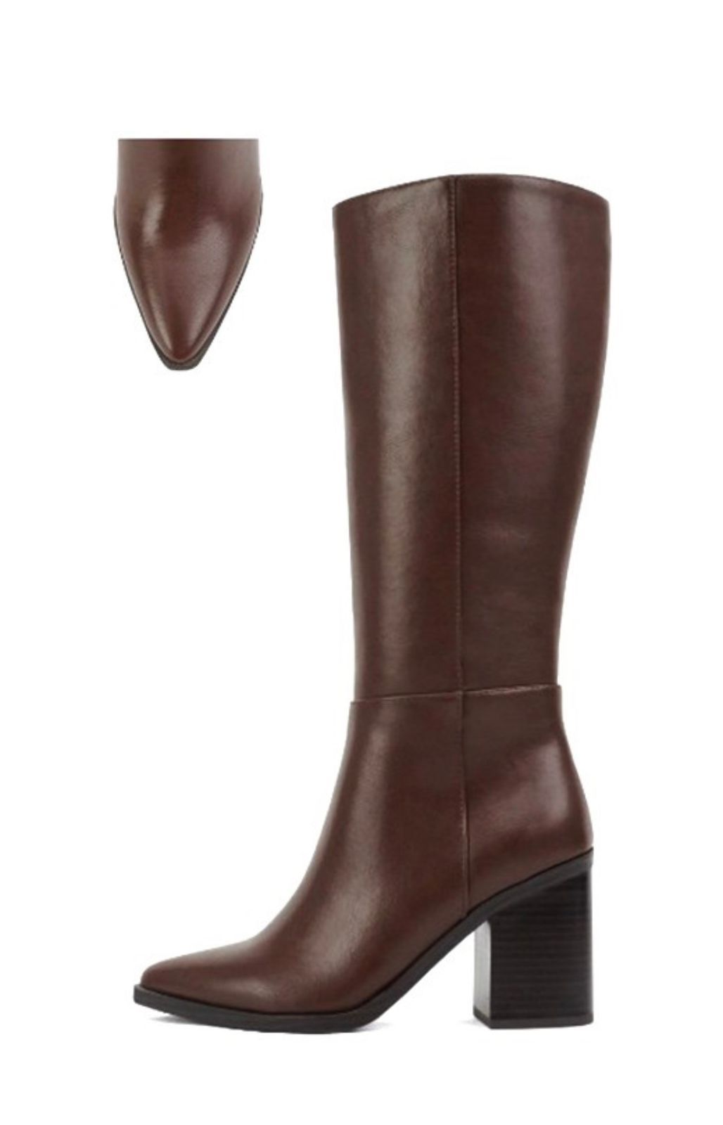 Bota